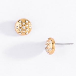 Aretes 123441