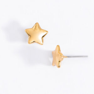 Aretes 223423L