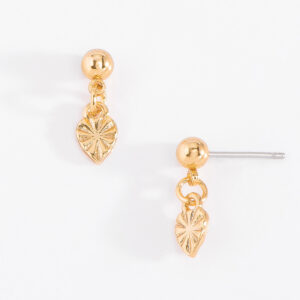 Aretes 223528L