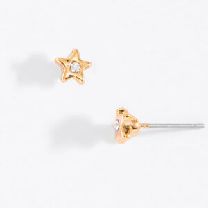 Aretes 423484L