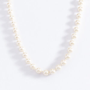 Collar 323281